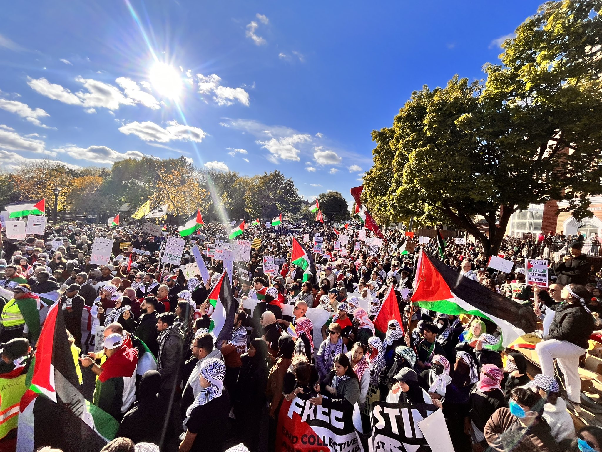 Des centaines de personnes arborant des drapeaux palestiniens et portant des pancartes et des banderoles pour une Palestine libre se tiennent sous un soleil radieux.